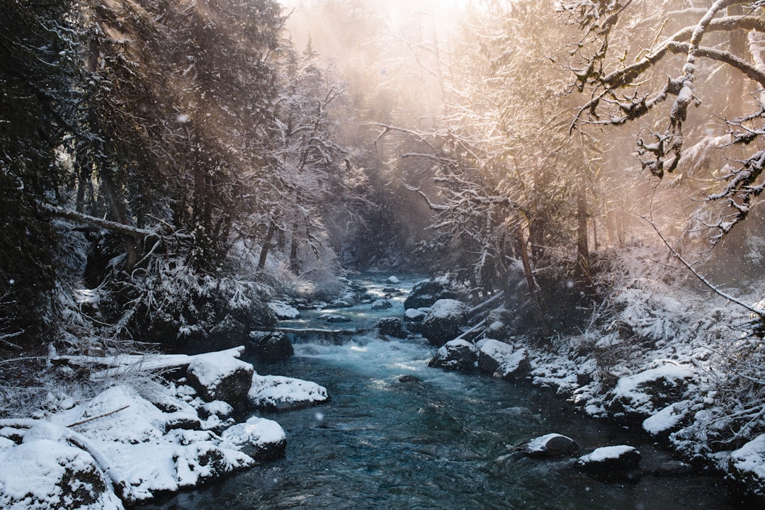 The Frozen Tundra: A Chilling Landscape